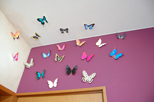 bambee studio�̉摜32